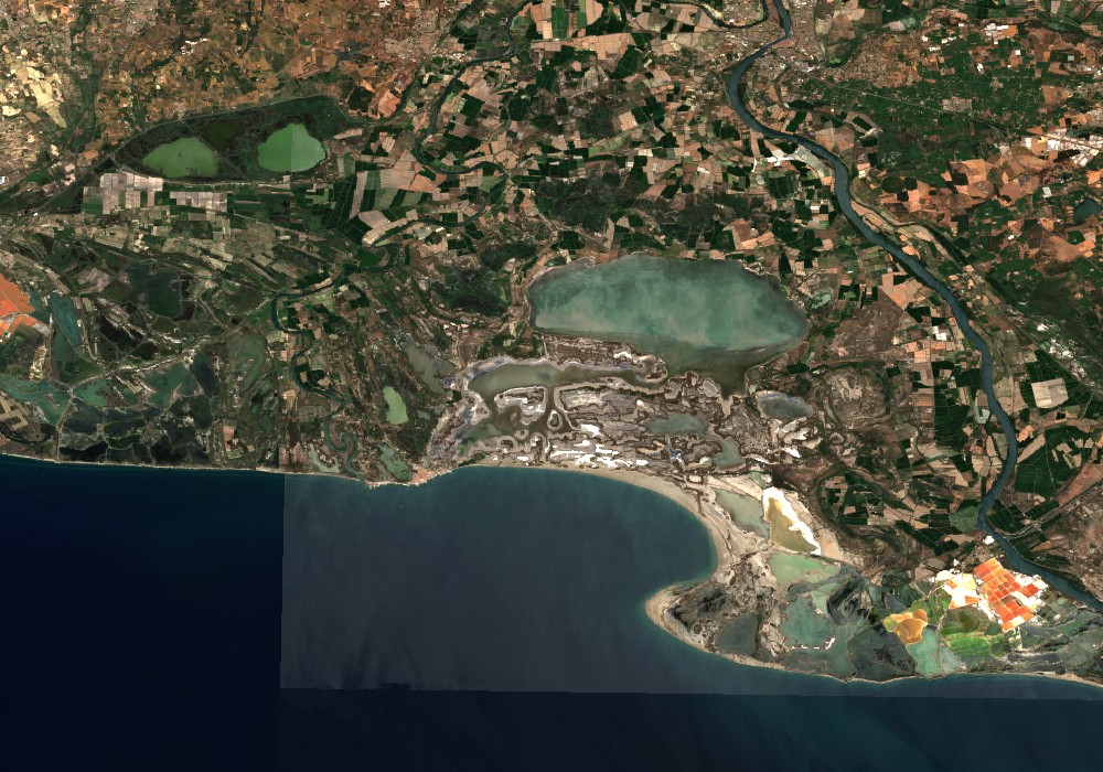 La Camargue se dessèche après