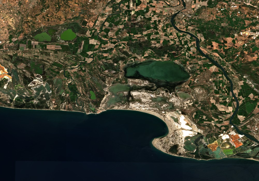 La Camargue se dessèche avant