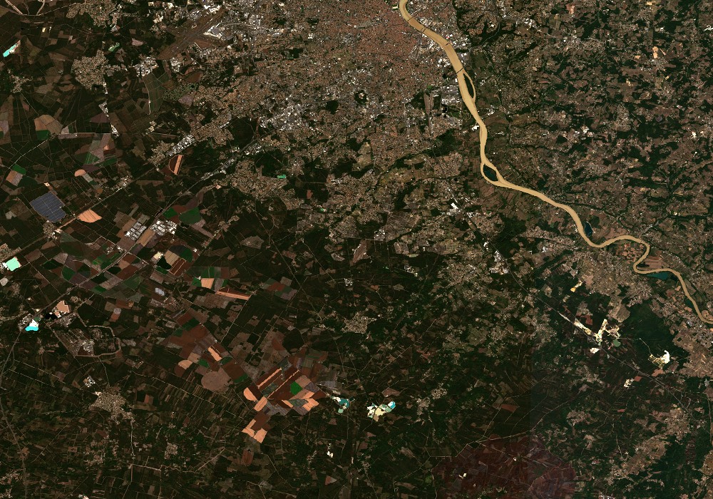 60 000 hectares en cendres après